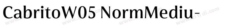 CabritoW05 NormMediu字体转换